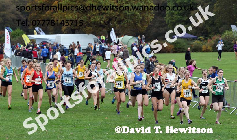 Start of the senior womens Northern Cross Country Relays. Photo: David T. Hewitson/Sports for All Pics